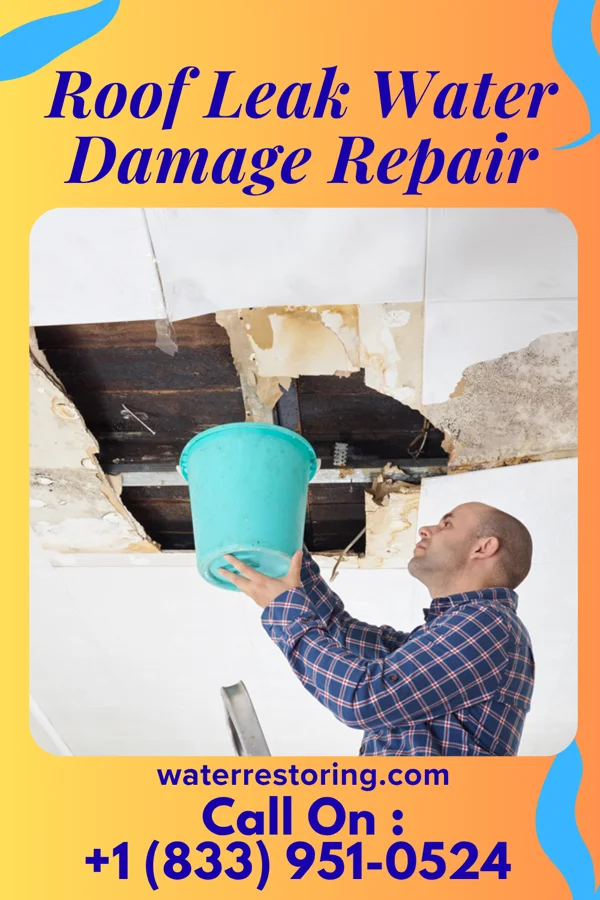 Roof Leak Water Damage Repair in Cambridge, MD