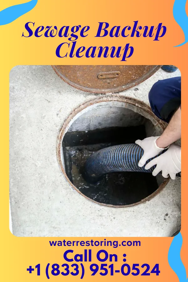 Sewage Backup Cleanup in Cambridge, MD