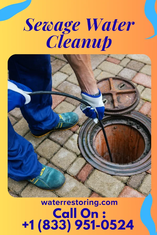 Sewage Water Cleanup in Cambridge, MD